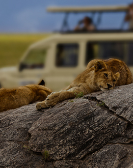 serengeti-national-park